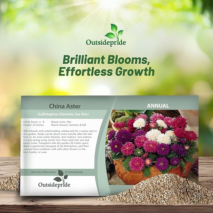 Outsidepride 1,000 Pcs Aster Seeds - Seastar Annual, Hardy & Pollinator Friendly Flower Seeds for Planting Vibrant Mix, Ideal for Meadows & Aesthetic Gardens