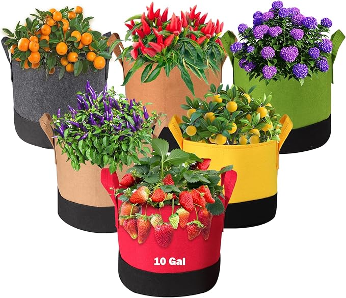 Grow Bags 5Gal/7Gal/10Gal * 2 ，6 Pack Vegetable/Flower/Plant Grow Bags ，Plant Fabric Pots with Handles for Garden and Outdoor Planting (6 Colour, 10 Gallon)