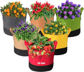 Grow Bags 5Gal/7Gal/10Gal * 2 ，6 Pack Vegetable/Flower/Plant Grow Bags ，Plant Fabric Pots with Handles for Garden and Outdoor Planting (6 Colour, 10 Gallon)