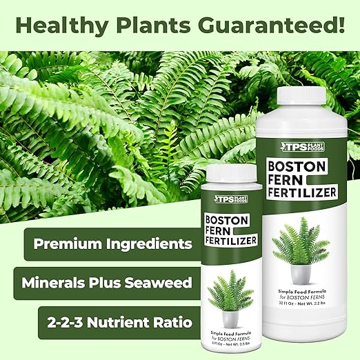 Boston Fern Fertilizer for Boston Fern, Great for Fluffy Ruffles, Dallas, and Compacta Fern Varieties, Liquid Fertilizer by TPS Plant Foods, 32 oz (1 Quart)