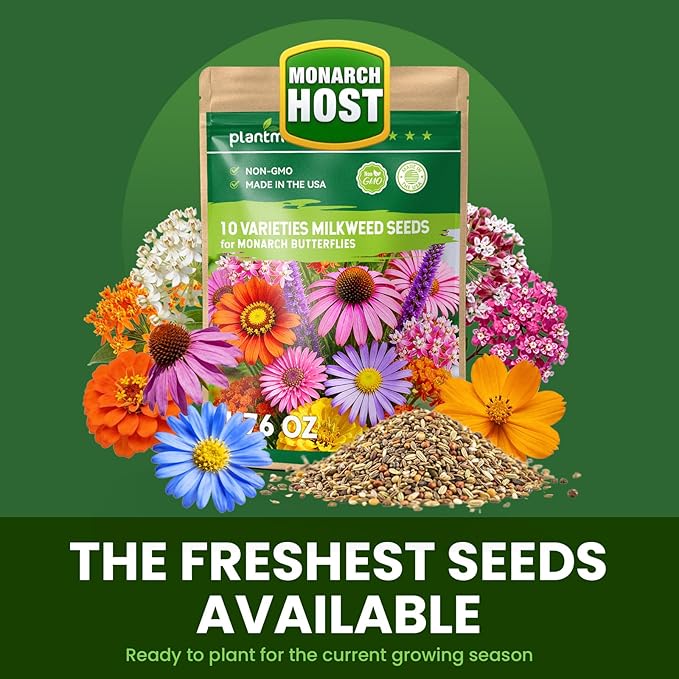 Milkweed Seeds for Monarch Butterflies – Wildflower Seeds Mix 18000+ Seeds (1.76 oz), Perennial Pollinator Garden Flowers, Attract Bees, Butterflies & Hummingbirds, Easy to Grow