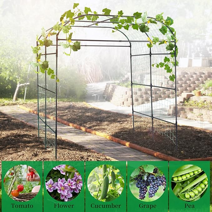 FOLLOOK Garden Arch Trellis for Climbing Plants Outdoor, Cucumber Trellis for Raised Bed, Grape Vine Tomato Bean Tall Vegetable U Frame Plant Support, Black