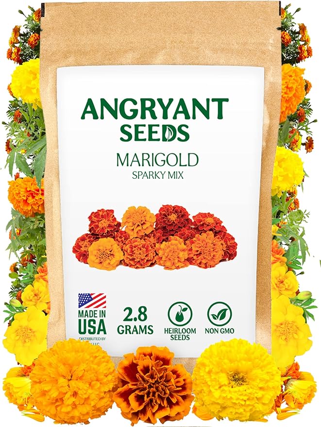 Marigold Sparky Mix Seeds - 999+ Heirloom Flower Seeds for Planting Indoors and Outdoors in Your Home Garden - Non GMO, USA Grown - Annual, Open Pollinated Wildflower Seeds Bulk for Companion Planting