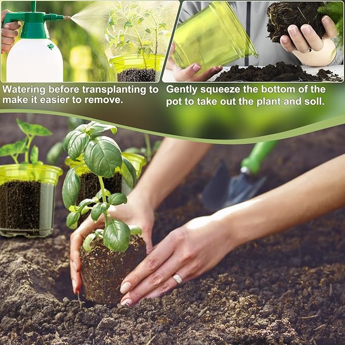 SupKing 4 Inch Clear Plant Nursery Pots 8 Packs Durable Plastic Seed Starters Small Orchid Flower Pots with Drainage Holes for Transplanting Succulents Cuttings Seedlings Bonus 15 Plant Labels