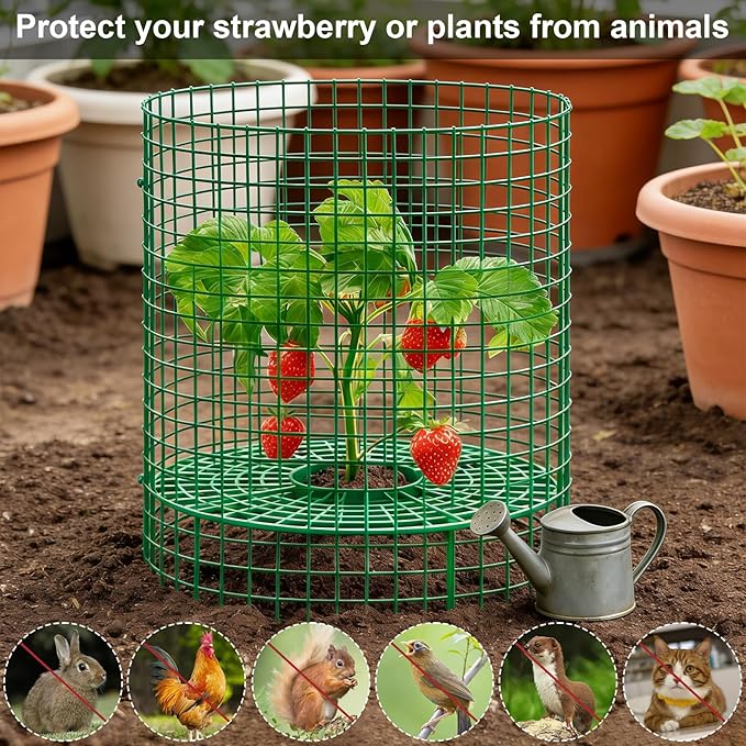 5 Sets Strawberry Plant Support with Wire Plant Protectors, 12.9"x 11.8" Wire Plant Cages and Strawberry Growing Racks, Animal Protection for Strawberry Tomato Garden Vegetables Plants