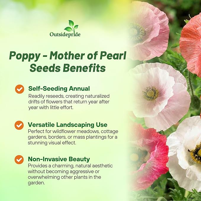 Outsidepride Mother of Pearl Poppy Seeds for Planting - 1,000 Pcs Annual, Drought-Tolerant & Easy to Grow Wildflower Seeds with Vibrant Mix Blooms for Landscaping, & Pollinator Garden