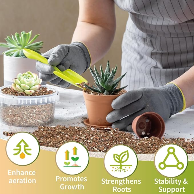 Succulent & Cactus Soil Potting Mix 1qt, Chunky Dirt with Fast Draining Fits for Bonsai, Terrarium and Houseplant