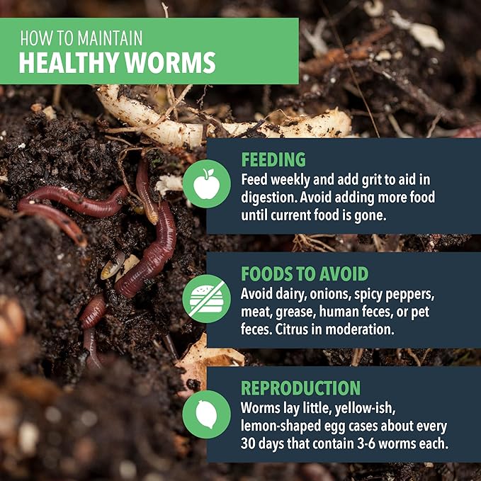 Worm Nerd Composting Worms – Live Red Wriggler Compost Worms Mix – Sustainable Compost Worms Live for Organic Materials - Worm Composting Set for Better Soil Structure 250 Worms *CANNOT SHIP TO HAWAII