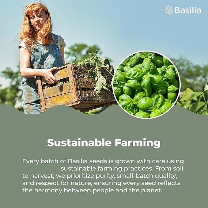 Basilia Basil Seeds for Eating | The Original Loaded Water | 2x More Fiber than Chia | Nutrition-Packed Edible Basil Seeds Superfood for Breakfast, Smoothies & Drinks | Keto Friendly & Gluten Free | 1lb Bag