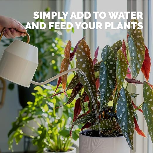 Begonia Fertilizer- Liquid Plant Food for All Begonias, Promotes Healthy Growth & Vibrant Foliage, 8 oz