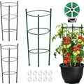Tomato Cage Plant Support with Adjustable Rings, Orchid Stakes with Clips, Garden Trellis for Climbing Plants, Flower, Veggie, Includes Plant Ties & Clips (3 Pack, 18 Inches)