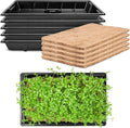 Pack 8 Seed Sprouter Tray with Plant Hemp Fiber Grow Mat,Microgreens Growing Kit for Seedling Wheatgrass Hydroponic,Wheatgrass Sprouting Tray, Greenhouse Seed Starter Trays (5 Pack)