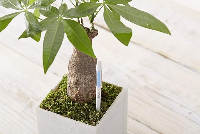 Sustee Aquameter Medium (Green Refillable) - Plant Soil Moisture Sensor - Best for Potted Plants - Probe, Meter, Indicator