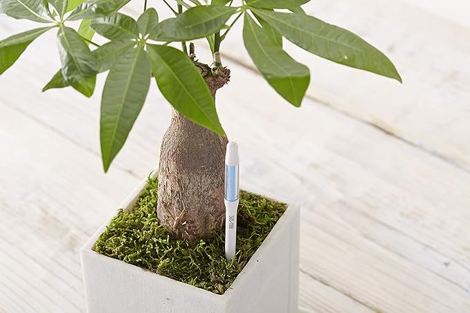 Sustee Aquameter, White, Small - Plant Soil Moisture Sensor - Best for Potted Plants - Refillable Style