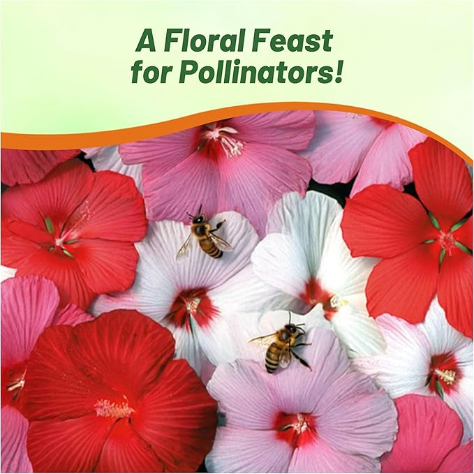 Outsidepride Luna Mix Hibiscus Seeds - 20 Pcs Perennial Flower Seeds for Planting Pollinator-Friendly, Large & Elegant Blooms with Dense Dark Green Foliage for Containers, Pots, & Garden Spaces