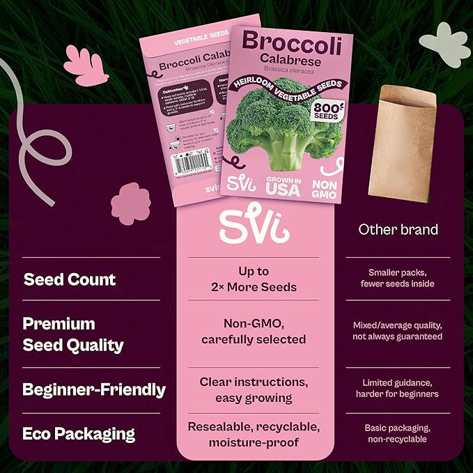 SVI 800 Calabrese Broccoli Seeds for Sprouting (Brassica oleracea VAR. capitata) - Green Broccoli Sprouts Seed Packets - Non-GMO Heirloom Vegetable Seeds for Planting Outdoors & Indoors Garden