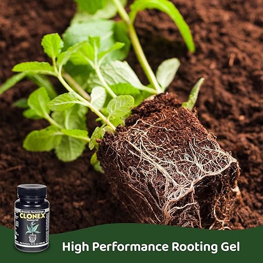Clonex Rooting Gel - High-Performance Rooting Compound for Plant Cuttings, Contains IBA, Promotes Root Initiation & Development - 15ml