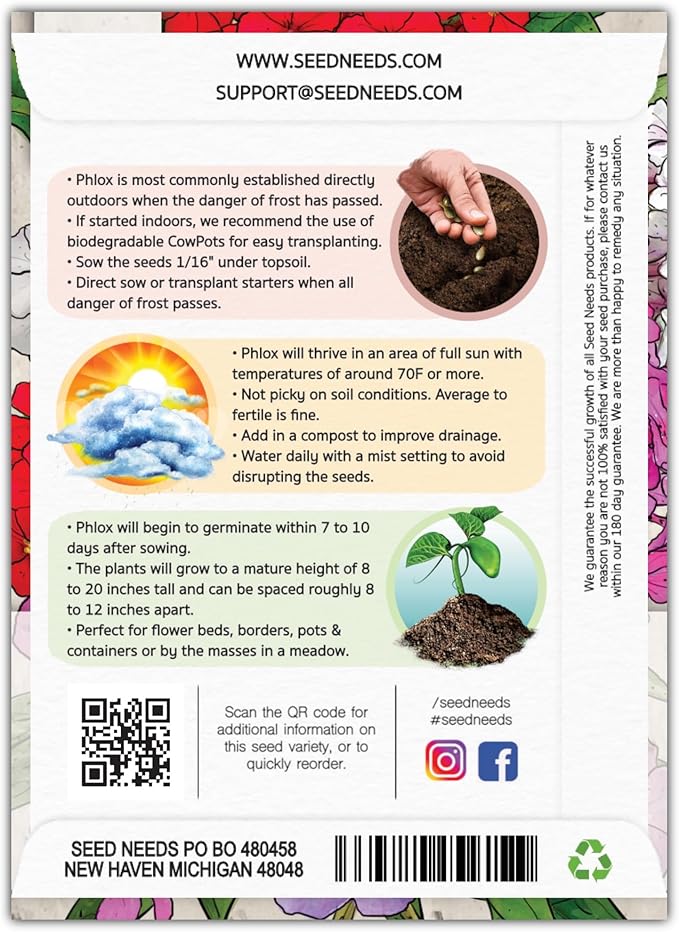 Seed Needs Annual Phlox Seeds for Planting a Colorful Mixture of Flowers - Heirloom & Open Pollinated Wildflowers to Attract Butterflies and Other Pollinators to an Outdoor Garden (1 Pack)