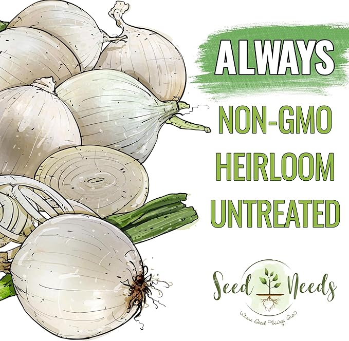 Seed Needs Onion Seeds for Planting White Sweet Spanish Long Day Onions - Non-GMO Heirloom & Untreated Vegetable Seeds to Plant an Outdoor Home Grown Veggie Garden (5 Packs)