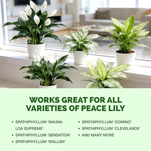 Peace Lily Fertilizer – Liquid Peace Lily Plant Food for Indoor Plants, Supports Blooming & Healthy Growth, 32 oz