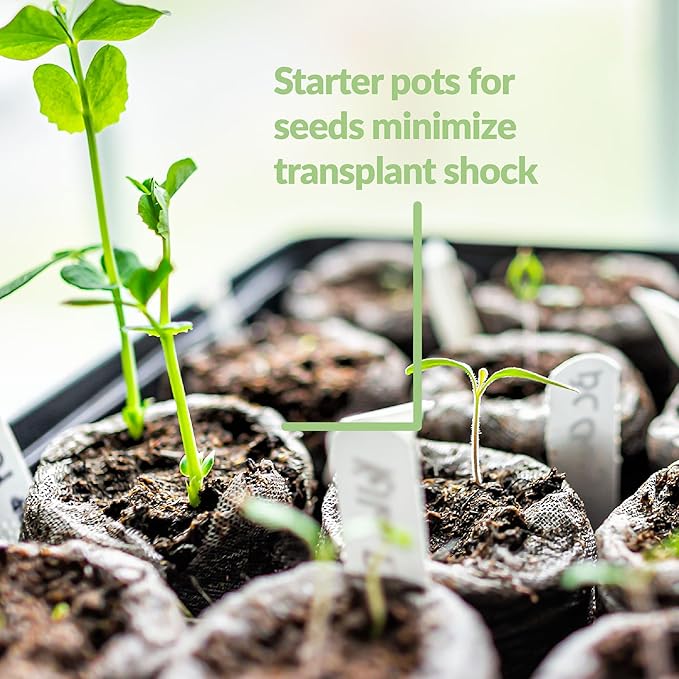 100 Count- Jiffy 36 MM Peat Soil Pellets Seeds Starting Plugs: Indoor Seed Starter- Start Planting Indoors for Transplanting to Garden and SUPERthrive Plant Vitamin Solution with Kelp, 4 Oz.