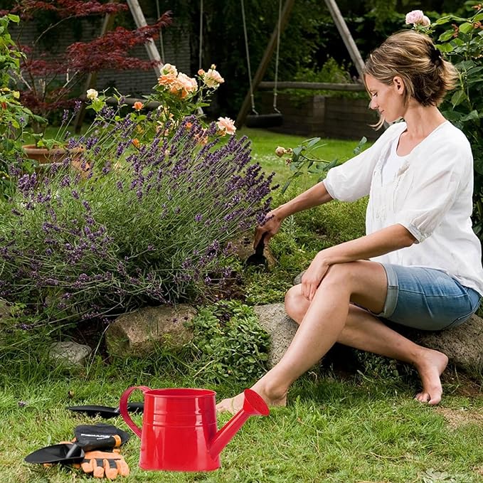 Tinplate Watering Kettle, 1L Metal Garden Watering Can, Vintage Sprinkling Can for Flowers, Indoor & Outdoor Plants, Lawn & Garden Irrigation Tool (Red)