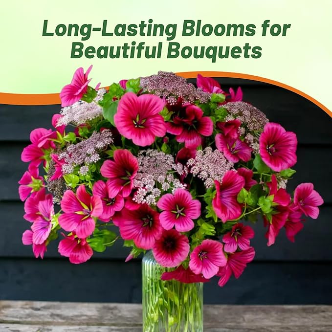 Outsidepride Annual Mallow Malope Mix Seeds - 1000 Pcs. Annual, Easy to Grow & Pollinator Friendly, Flower Seeds for Planting Showy & Vibrant Mixed Blooms for Landscaping & Cut Flower Arrangements