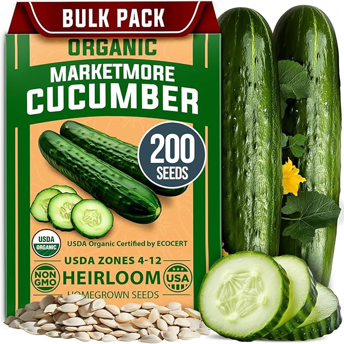 HOME GROWN Non GMO Organic Cucumber Seeds - 200 Marketmore Heirloom Vegetable Seeds for Planting in Trellises, Raised Beds, Containers (Cucumis sativus)