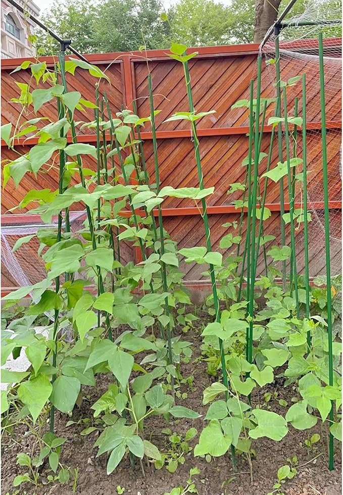 G-LEAF Garden Stakes 5 ft Plastic Coated Steel Tube Sturdy Metal Plant Sticks for Tomato,Cucumber,Bean,Tree,Pack of 50