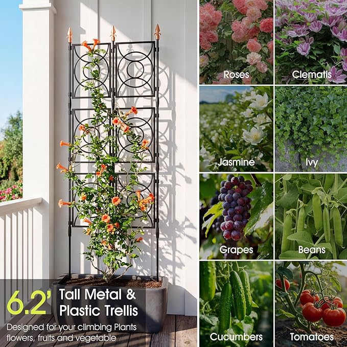 Trellis for Climbing Plants Outdoor, 24 Rifny Tall Garden Trellis Flower Rose Cucumber Trellis for Vines Pea Support, Wall Large Plant Trellis Fence with Plastic Screen Frame, 2 x 6.2 FT