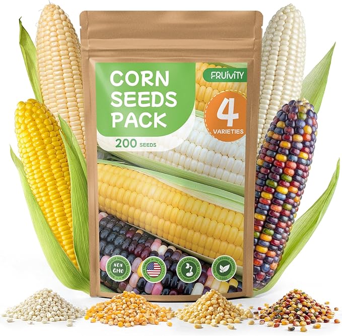 4 Corn Seeds Variety Pack - 200+ Non-GMO & Heirloom Corn Seeds for Planting Outdoor, Includes Sweet Corn, Golden Bantam,Silver Queen & Glass Gem Corn, Perfect Home Garden Gift for Beginners, Mom, Her