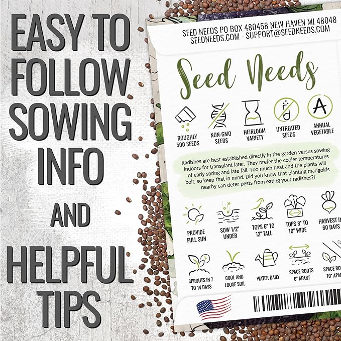 Seed Needs Radish Seeds for Planting Black Spanish Radishes - Non-GMO, Heirloom & Untreated - Grow a Home Grown Vegetable Garden - Cool Weather Crops (2 Packs)