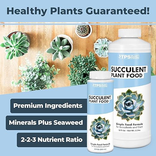 Succulent Plant Food – Gentle Liquid Fertilizer for Succulents & Cactus, 1 Gallon