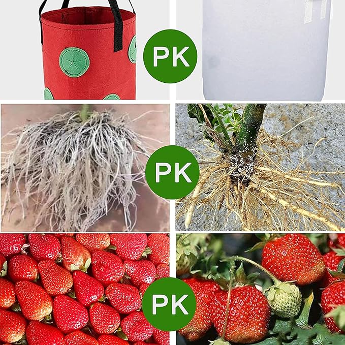 Upside Down Tomato Planter-3 Gallon Hanging Strawberry Planter Durable Aeration Fabric Grow Bags for Vegetables (Set of 2- Red and Green)