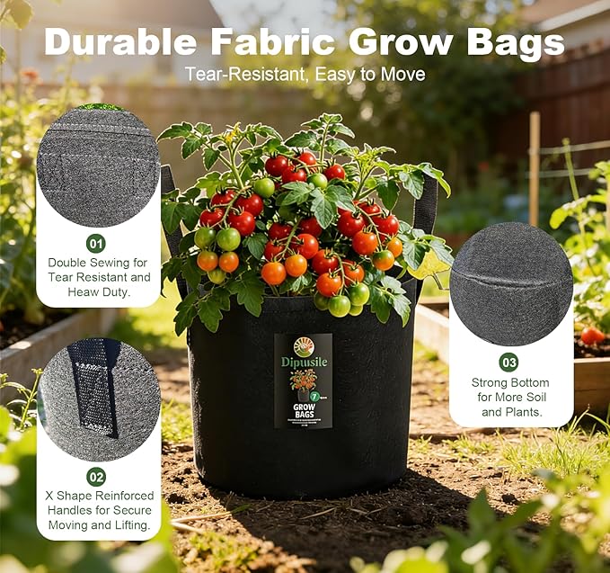 Dipuosile 6-Pack 3 Gallon Grow Bags, Heavy Duty 300G Thickened Nonwoven Plant, Fabric for Tomato,Potato,Vegetables, and Flowers