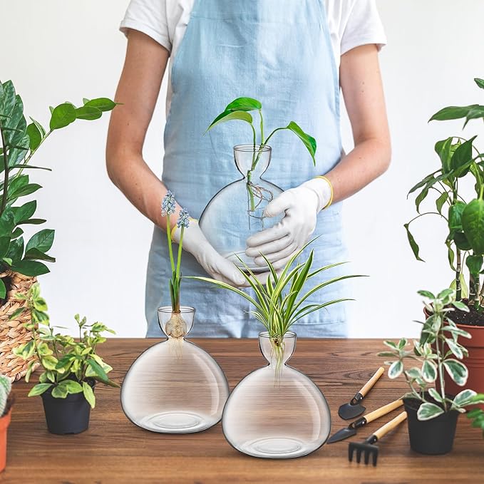 Large Avocado Vase Grow Glass Bulb Vases Acorn Seed Starter Vase Avocados Pit Planter Pot for Gardening Lover Indoor Hydroponics
