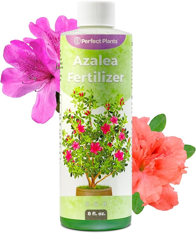 Liquid Azalea Fertilizer by Perfect Plants | Best Plant Food to Enhance Blooms, Brighten Colors, & Improve Soil Content for All Azaleas & Rhododendron | Instantly Release Nutrients to the Shrub