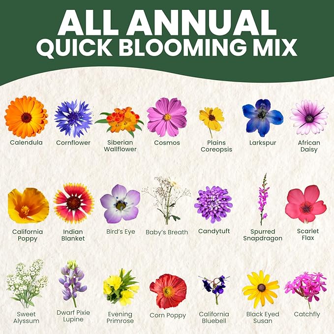All Annual Quick Blooming Mix - 16,000 Flower Seeds for Planting - Wildflower Mix - Large 1 Ounce Packet