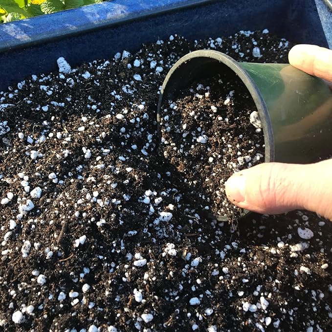 Organic Perlite for Plants, Soil Amendment for Enhanced Drainage and Growth, Ideal for Potting Mixes (10 Quart)