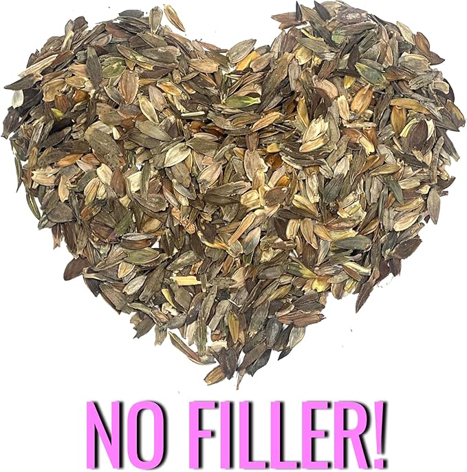 Seed Needs Zinnia Seeds Luminosa Pink Variety Fast Blooming | 5,000+ Heirloom & Open Pollinated Seeds | Annual Cut Flowers Large Blooming | Bulk
