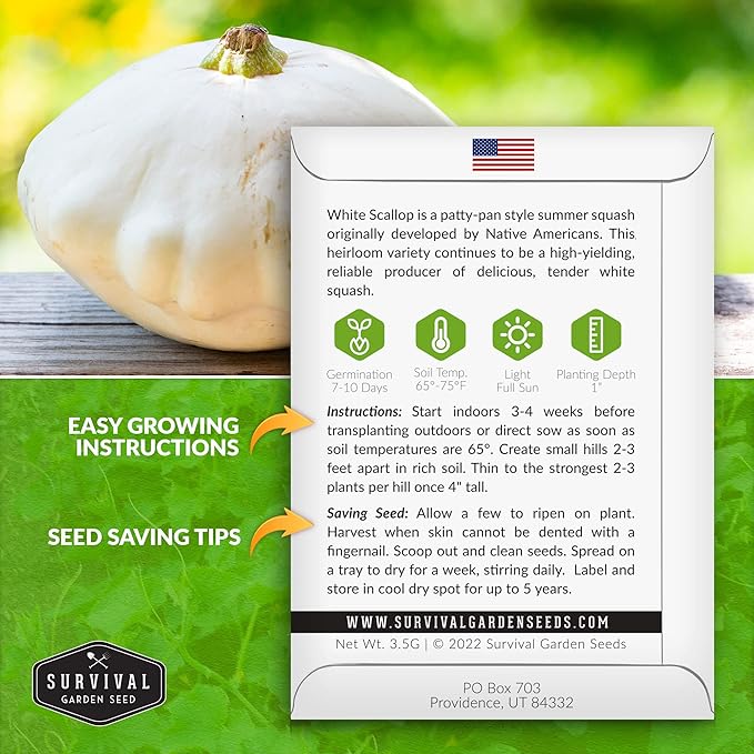 Survival Garden Seeds - White Scallop Summer Squash Seed for Planting - Packet with Instructions to Plant and Grow Patty Pan Squash in Your Home Vegetable Garden - Non-GMO Heirloom Variety