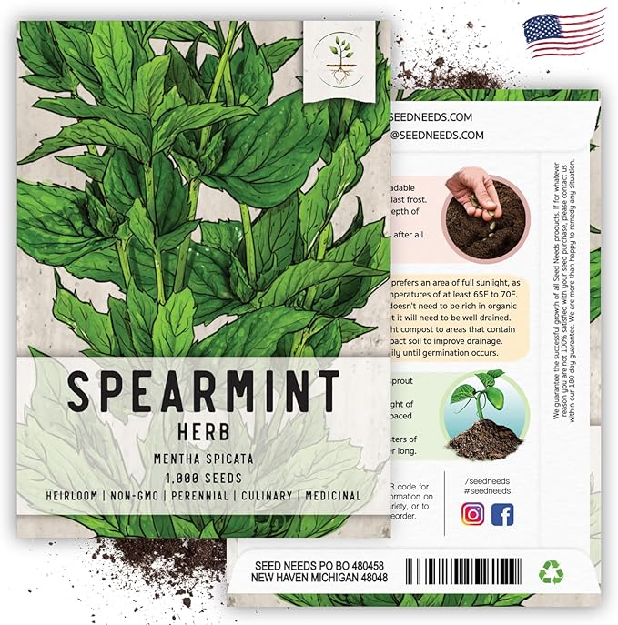 Seed Needs Mint Seeds for Planting Spearmint Herbs - Non-GMO Heirloom & Untreated Perennial Herb Seed to Plant a Home Grown Herb Garden Indoors or Outdoors (5 Packs)