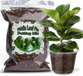 Organic Fiddle Leaf Fig Potting Mix 1qt, Indoor Plants Potting Mix for All Potted Ficus Lyrata Plant, Grow Healthy houseplants Indoors