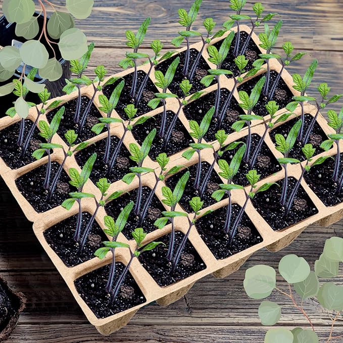 meekoo 1200 Cells Peat Pots Seed Starter Tray for Seedlings Bulk 10 Pack Biodegradable Plant Starter Pots Garden Germination Trays Propagator Plant Grow Kit for Vegetables Flowers Herbs Seed Starting
