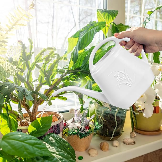 Plastic Watering Can - for Indoor and Outdoor Plant - 1/2 Gallon - White