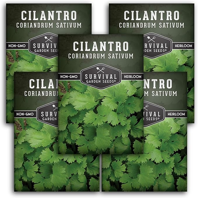 Cilantro Seeds for Planting | Heirloom Non-GMO Coriander Herb | Indoor & Outdoor Garden Growing | Fast Growing, Reliable Harvest – Survival Garden Seeds (5 Packs)