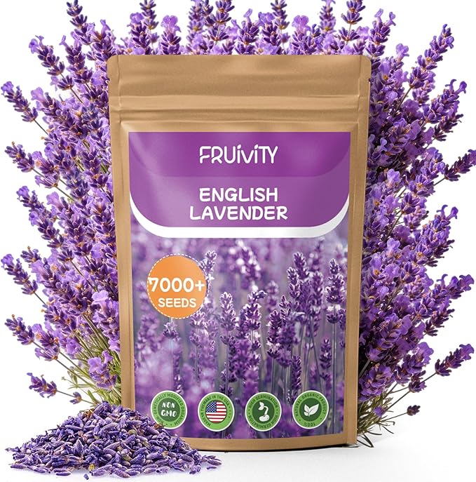 7,000+ Lavender Seeds Large Non GMO 3/4 Ounce Packet English Lavender Seeds- Heirloom Seeds Lavandula Angustifolia Wildflower Seed for Planting Indoor/Outdoor, High Germination