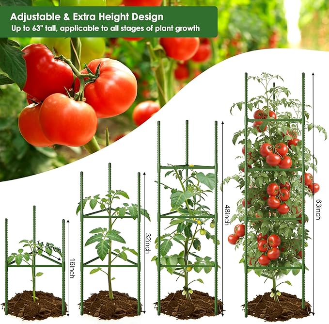 CEWOR Tomato Cage - 6 Pack Tomato Trellis, 63 Inch Extra Tall Tomato Cages for Garden, Plant Support Garden Stakes Triangle Structures for Climbing Plants Outdoor, Pots, Raised Garden Bed, Vegetables