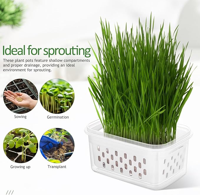 2pcs Seedling Sprouting Trays Small Soilless Planting Pots Indoor Nursery Containers with Drainage for Seed Starting and Greenhouse Accessories