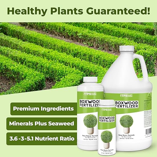 Boxwood Fertilizer, Complete Liquid Boxwood Shrub Plant Food, 1 Gallon (128 oz)